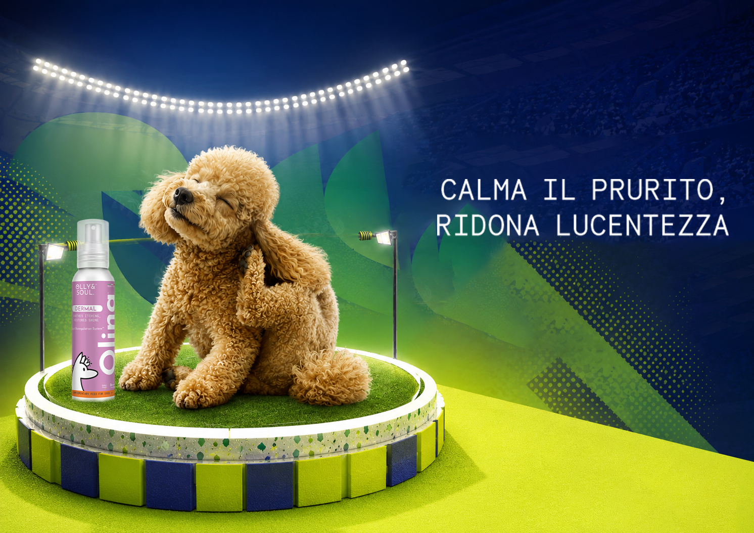 Oltre il girone d’inferno: perché la perdita di pelo è il Mondiale fallito del tuo cane (e come puntare alla finale)