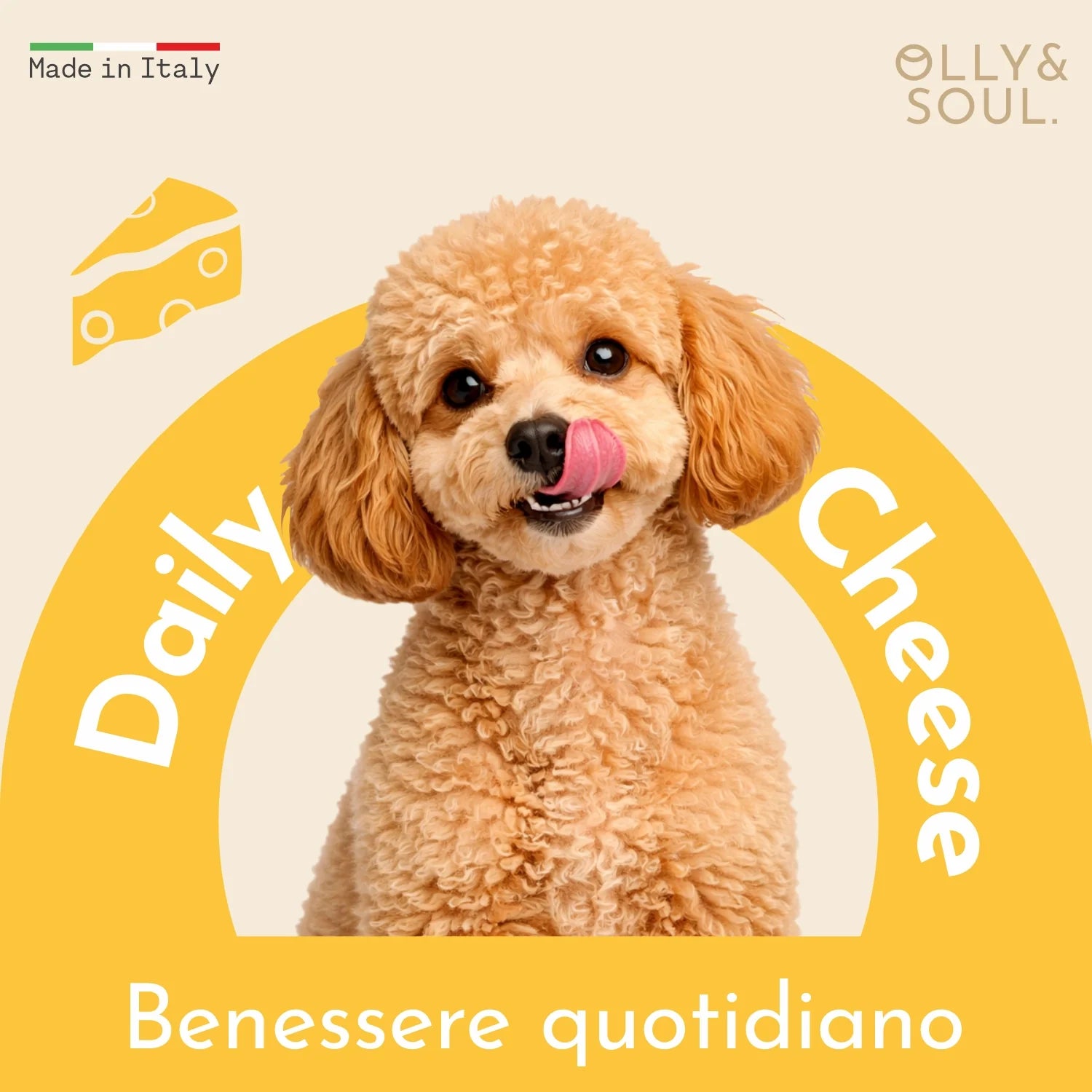 Olina Daily Cheese Cane