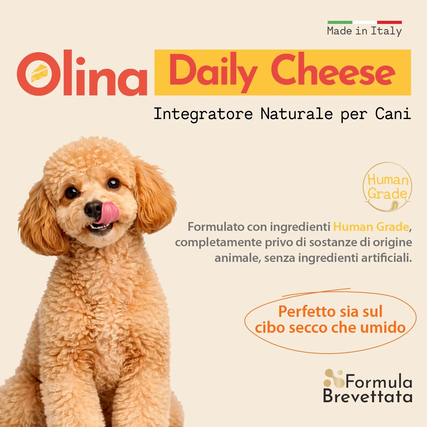 Olina Daily Cheese Cane