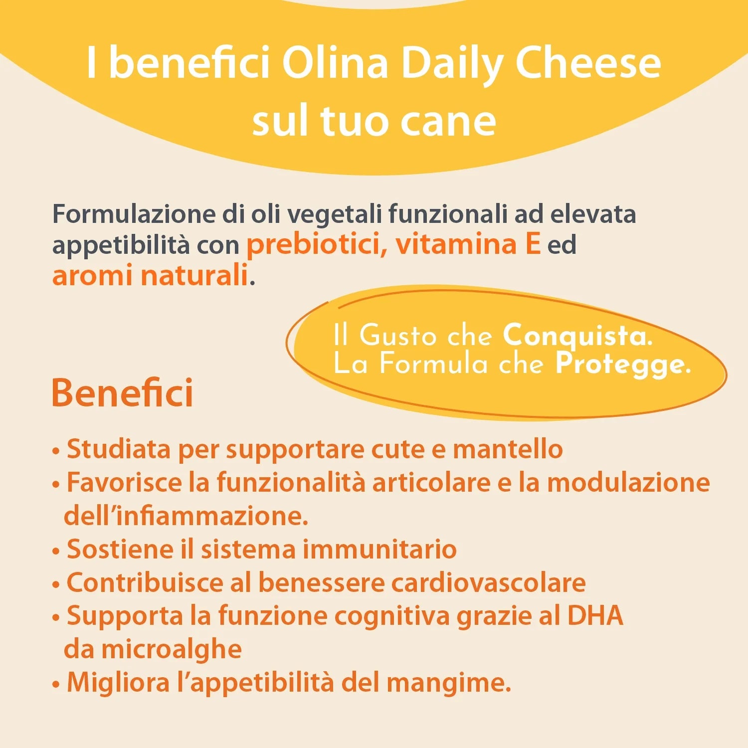 Olina Daily Cheese Cane