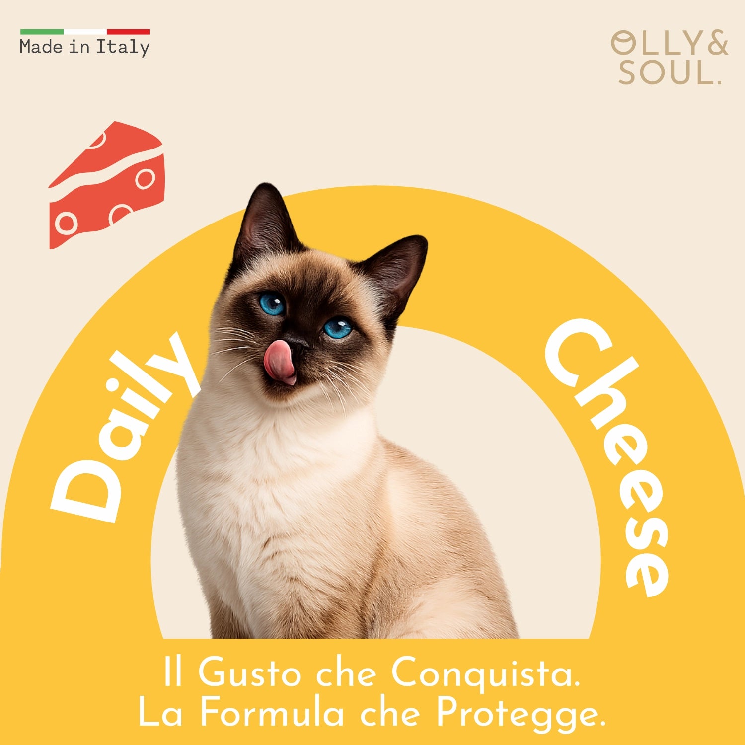 Olina Daily Cheese Gatto