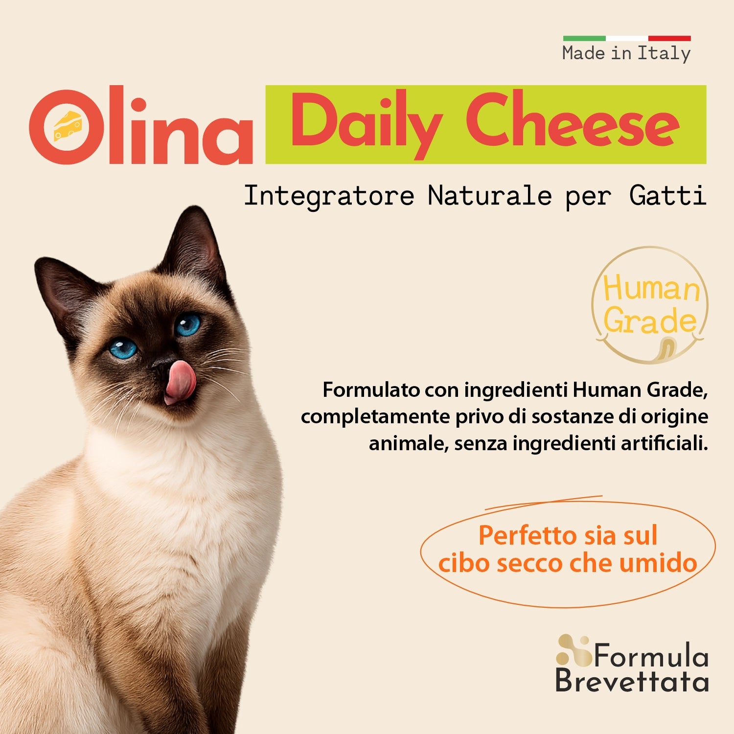 Olina Daily Cheese Gatto