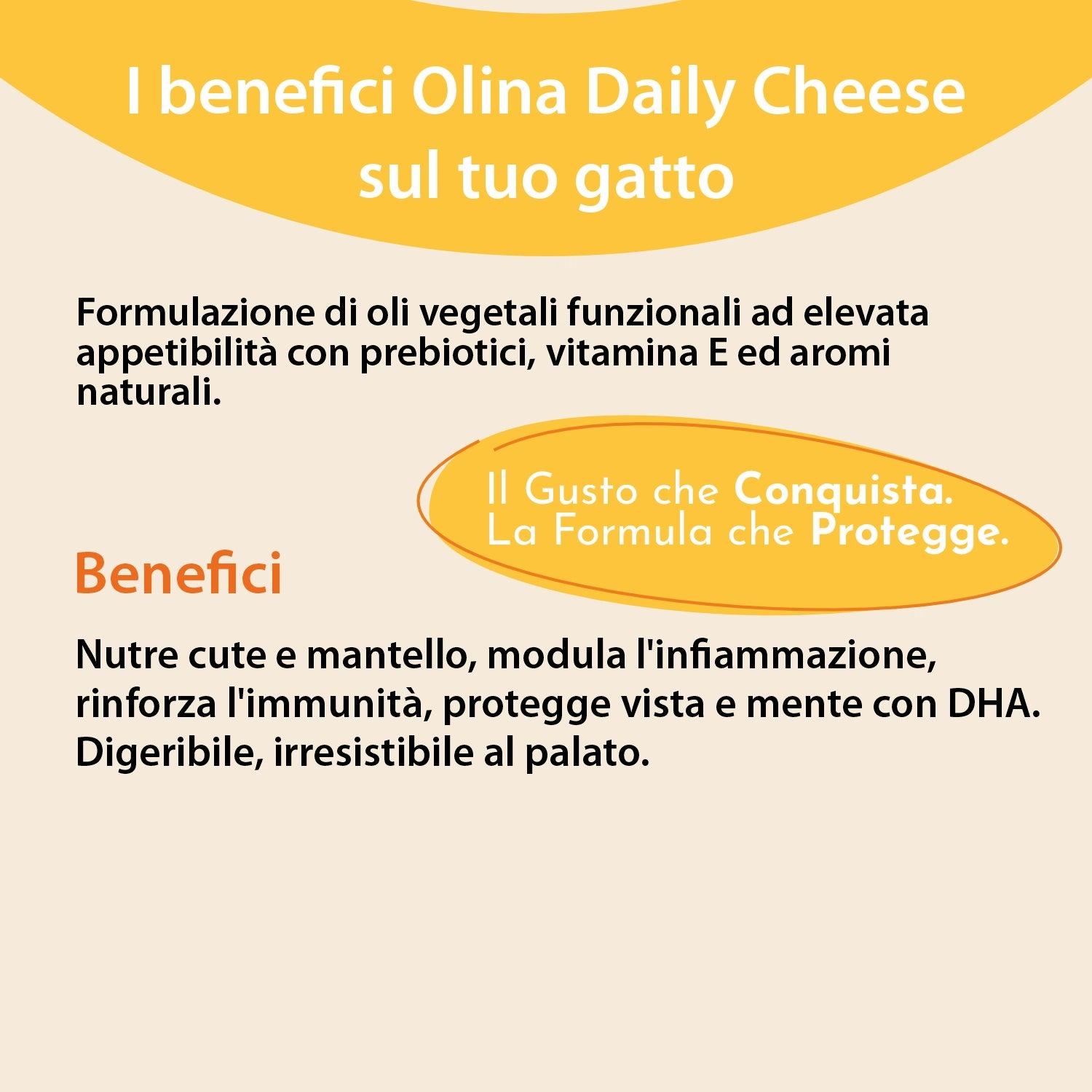 Olina Daily Cheese Gatto