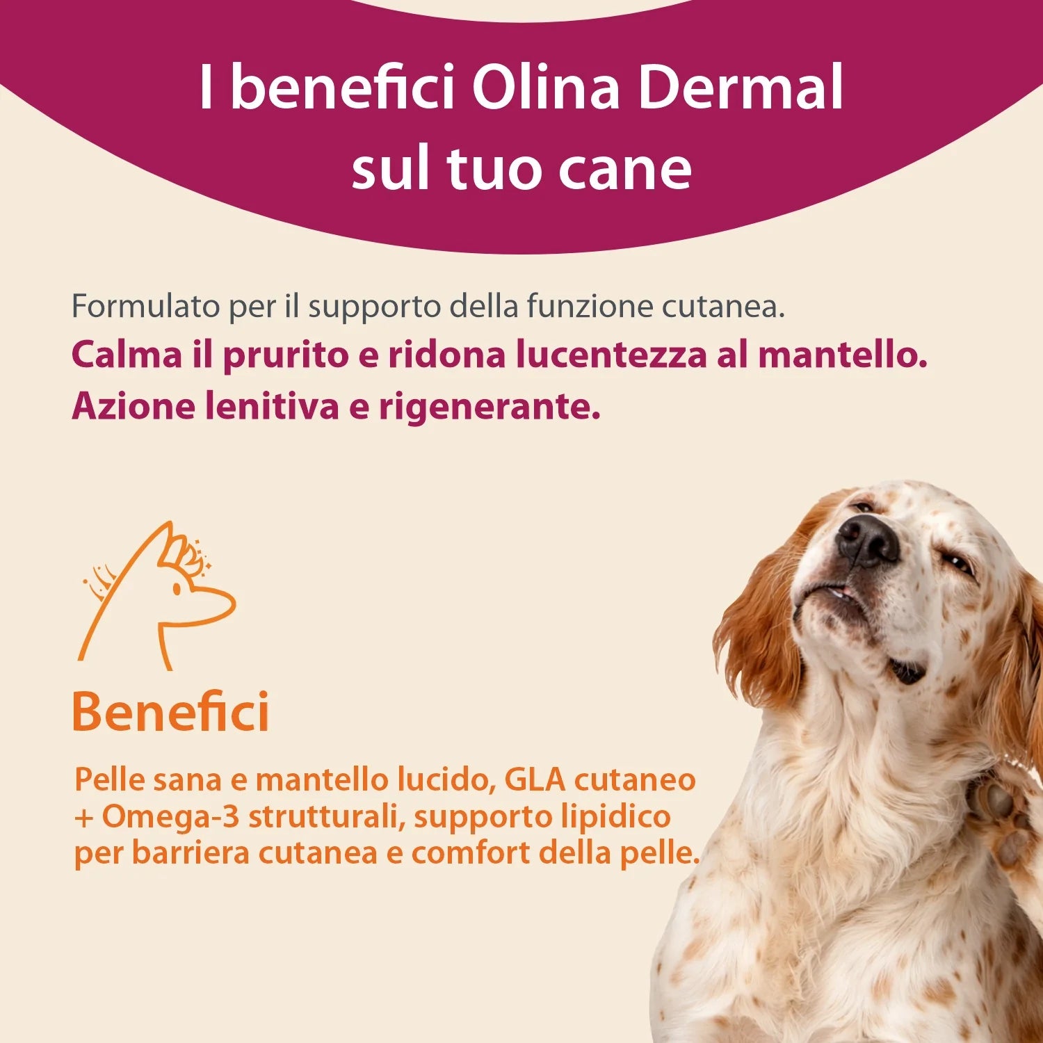 Olina Dermal Cane - Riduce irritazioni e migliora la lucentezza