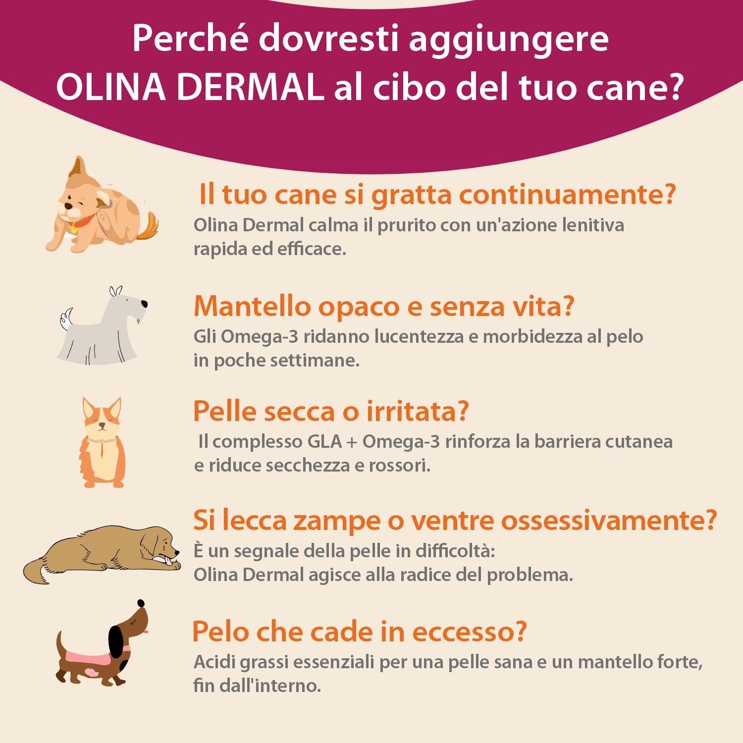 Olina Dermal Cane - Riduce irritazioni e migliora la lucentezza