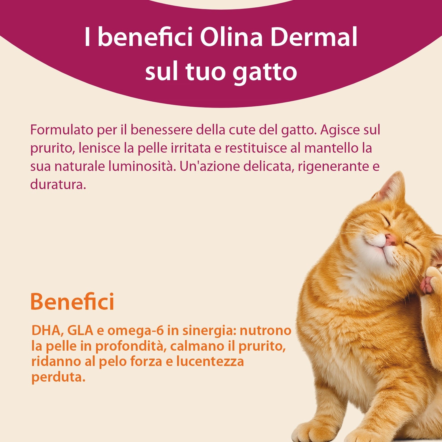 Olina Dermal Gatto - Nutre la pelle e riduce le irritazioni