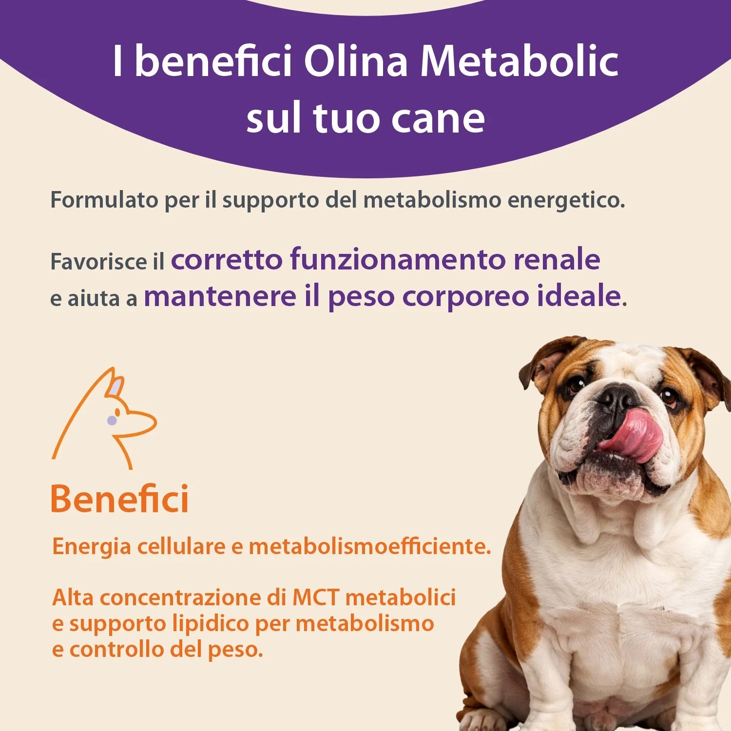 Olina Metabolic Cane - Regola metabolismo e peso