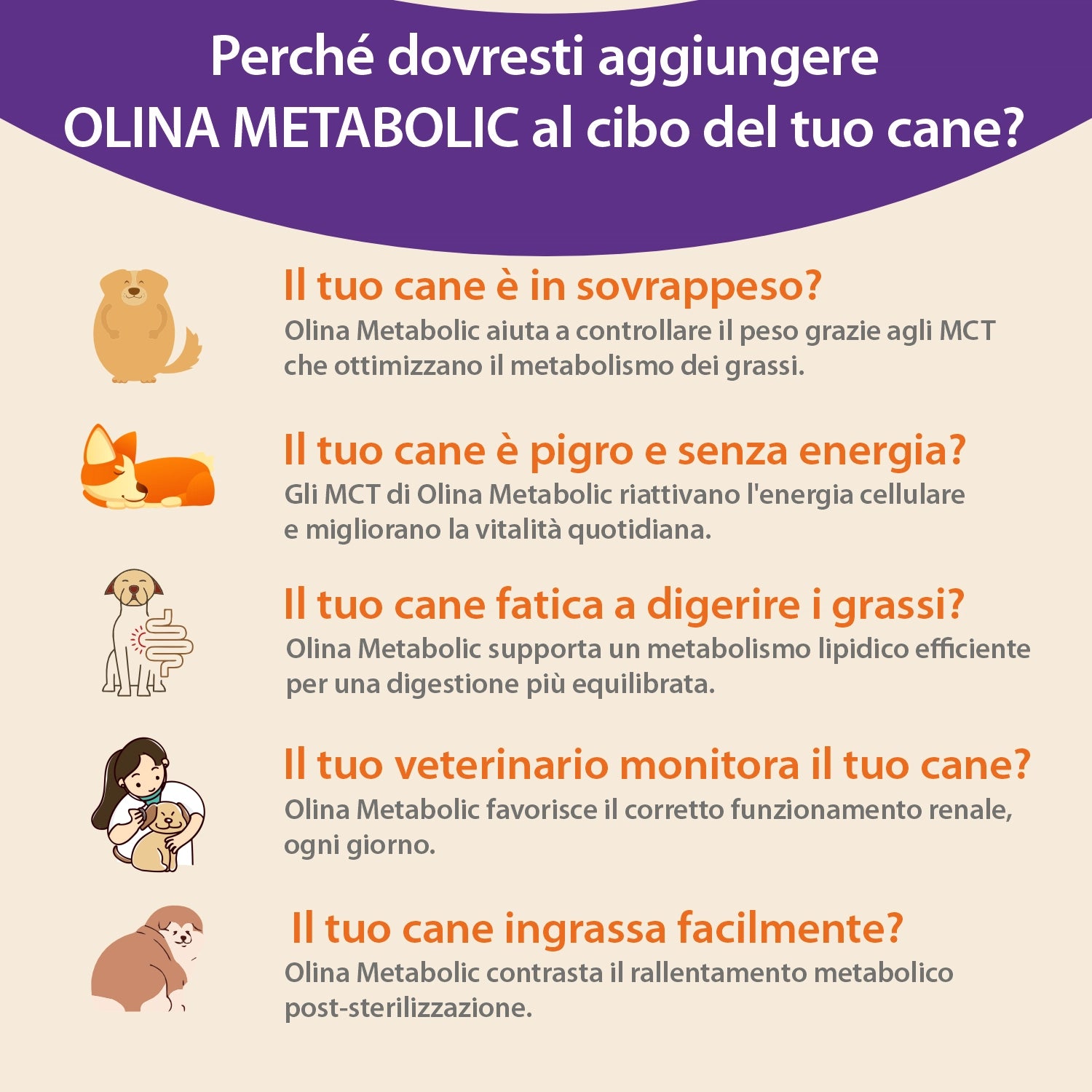 Olina Metabolic Cane - Regola metabolismo e peso