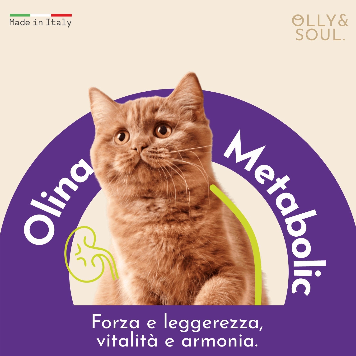Olina Metabolic Gatto - Supporta metabolismo e peso