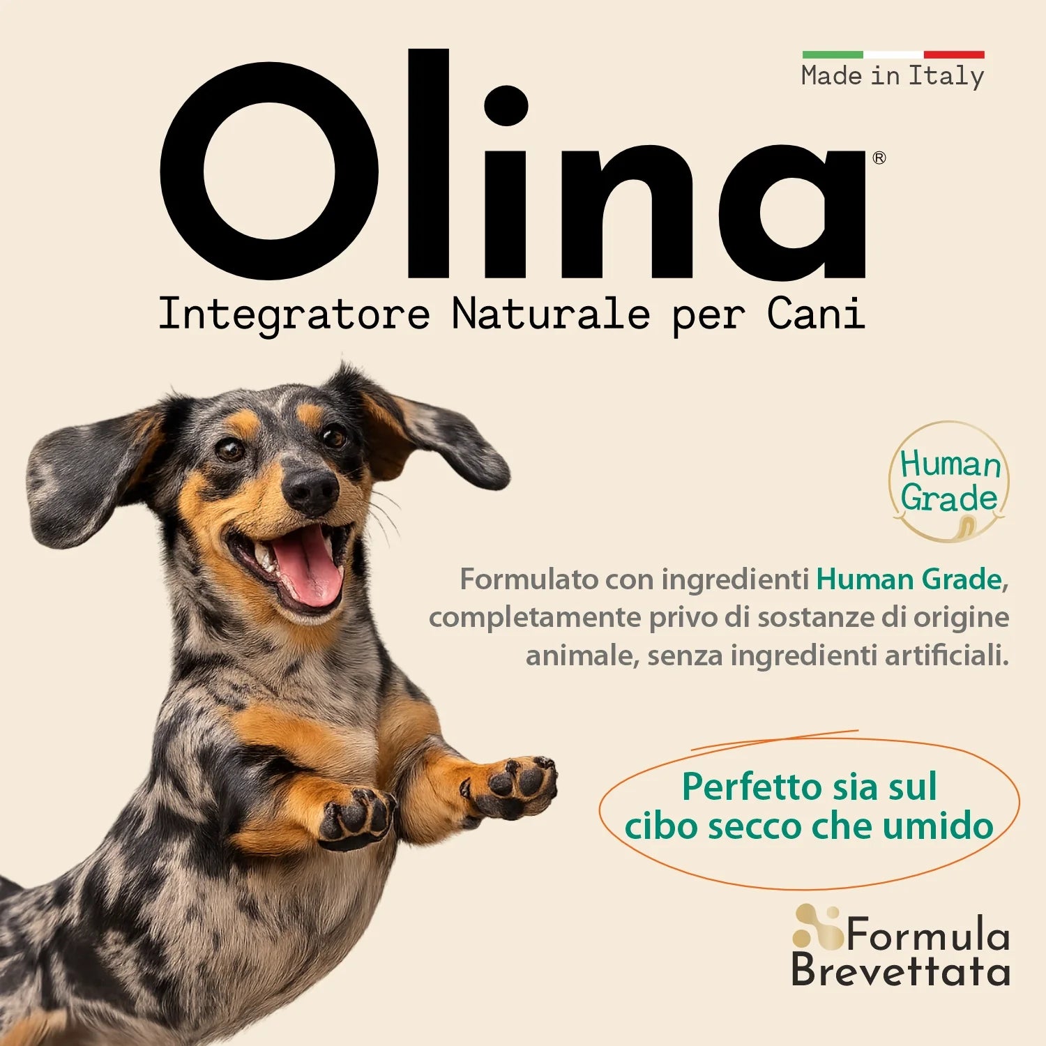 Olina Mobility Cane - Supporta le articolazioni, migliora l'agilità
