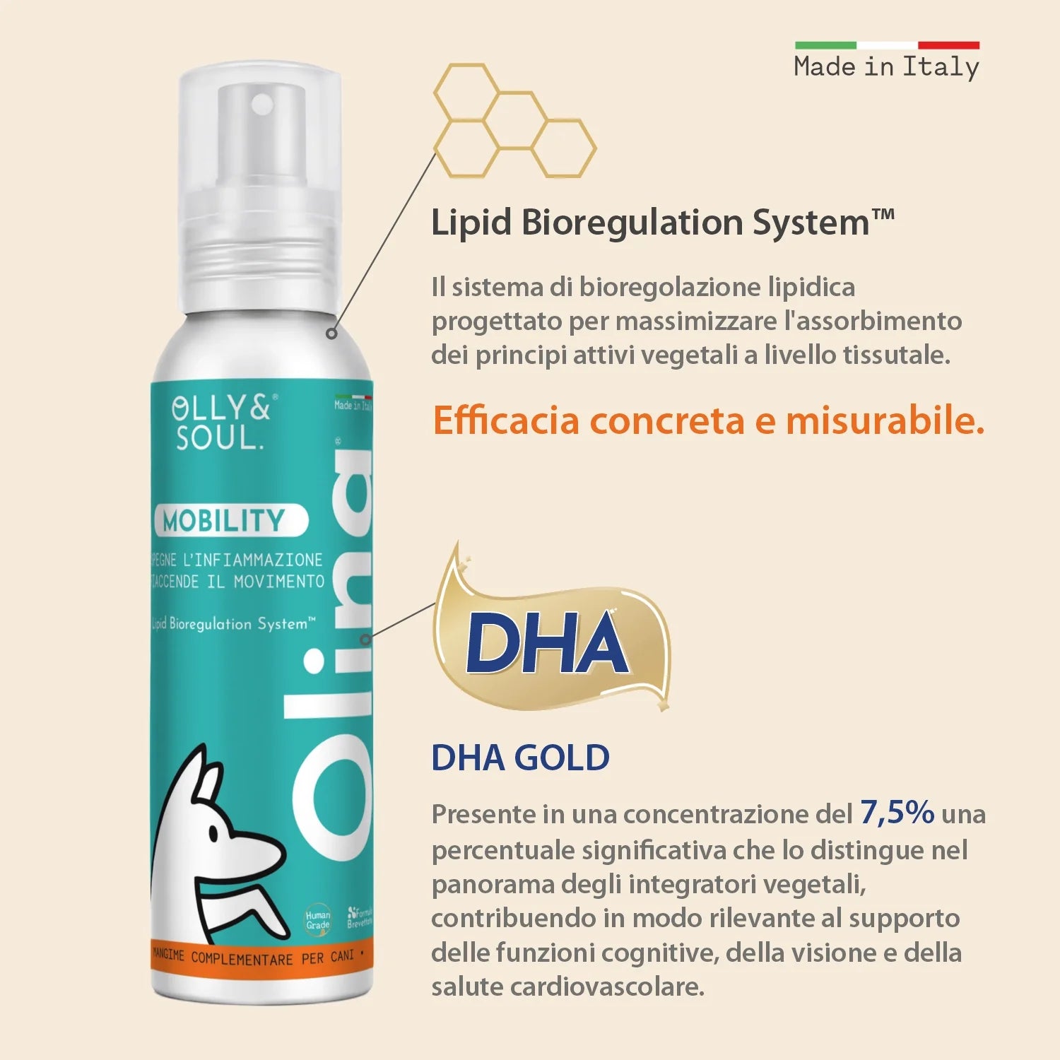 Olina Mobility Cane - Supporta le articolazioni, migliora l'agilità