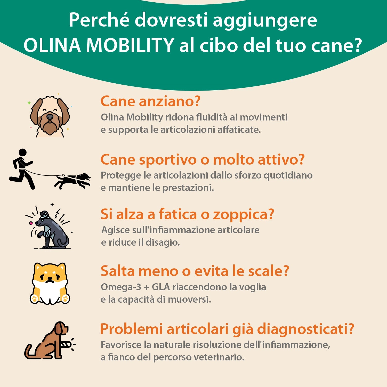Olina Mobility Cane - Supporta le articolazioni, migliora l'agilità