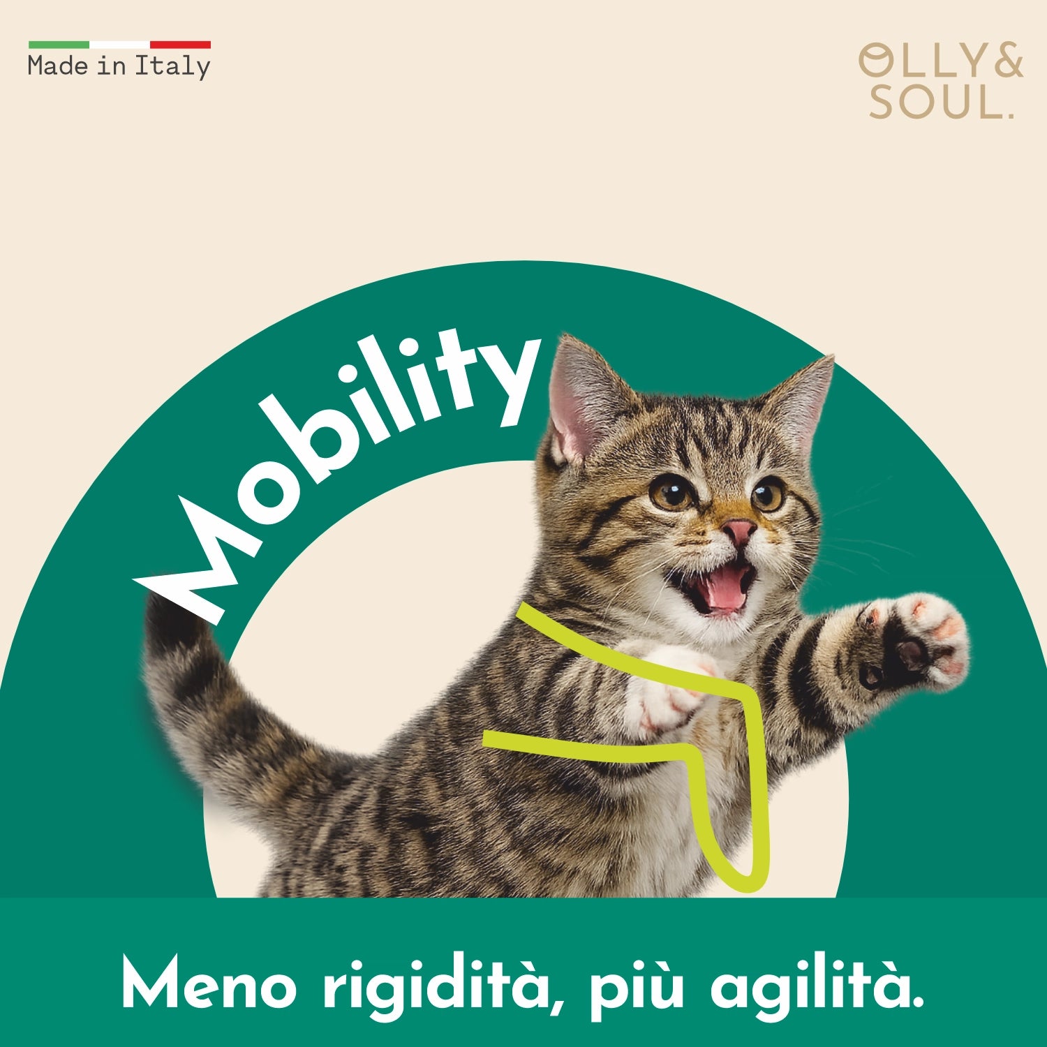 Olina Mobility Gatto - Supporta articolazioni e movimento