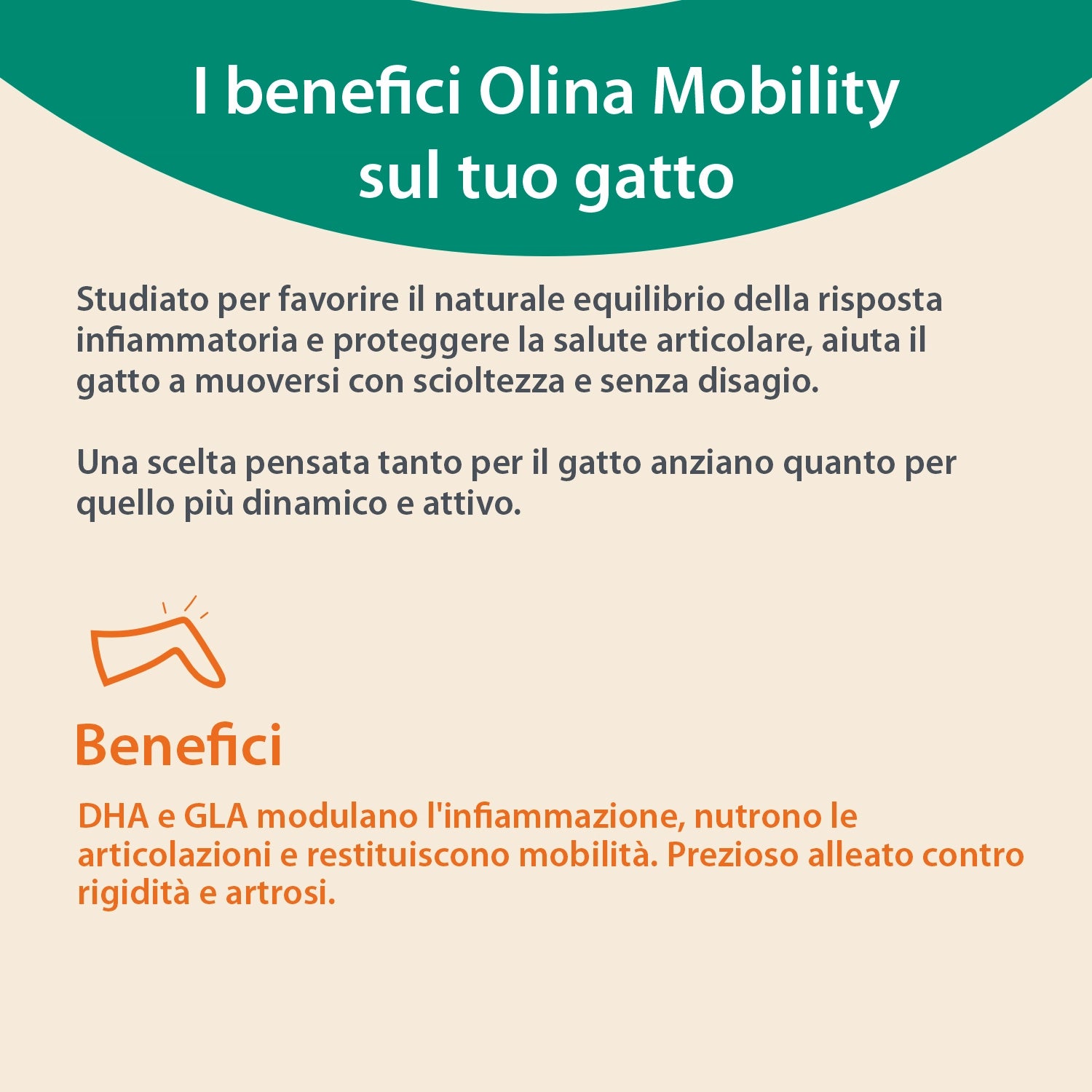 Olina Mobility Gatto - Supporta articolazioni e movimento