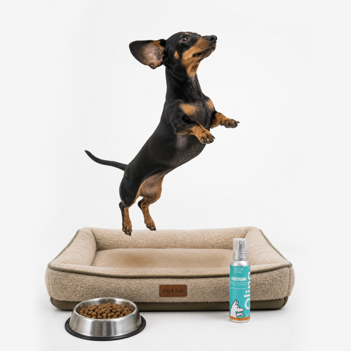 Olina Mobility Cane - Supporta le articolazioni, migliora l'agilità