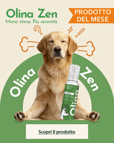Shop Cane