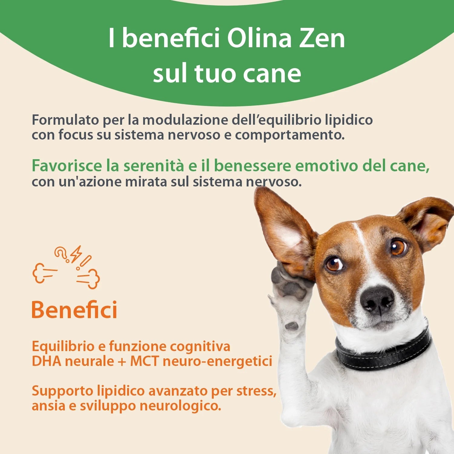 Olina Zen Cane - Riduce ansia e stress nel cane