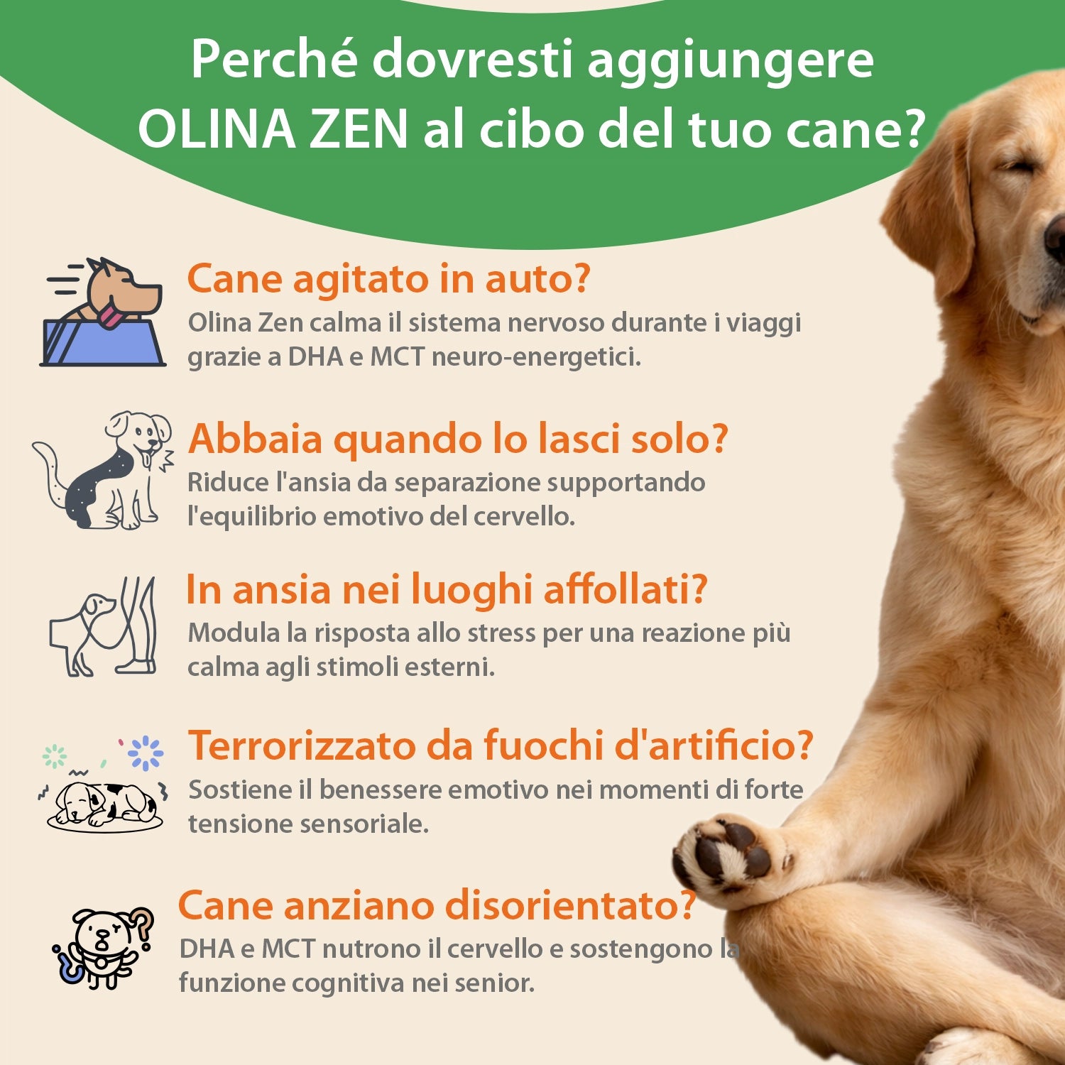 Olina Zen Cane - Riduce ansia e stress nel cane