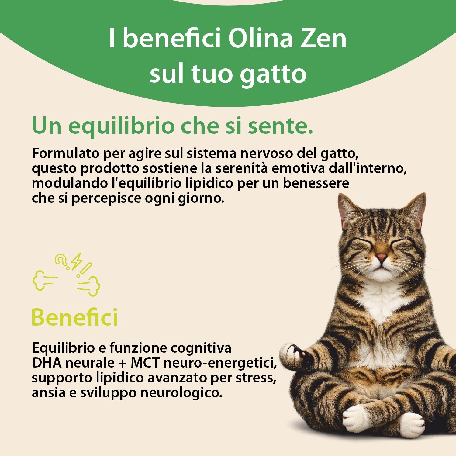 Olina Zen Gatto - Riduce ansia e stress