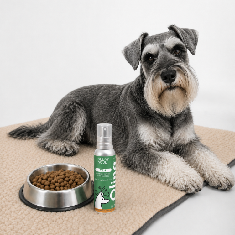 Olina Zen Cane - Riduce ansia e stress nel cane