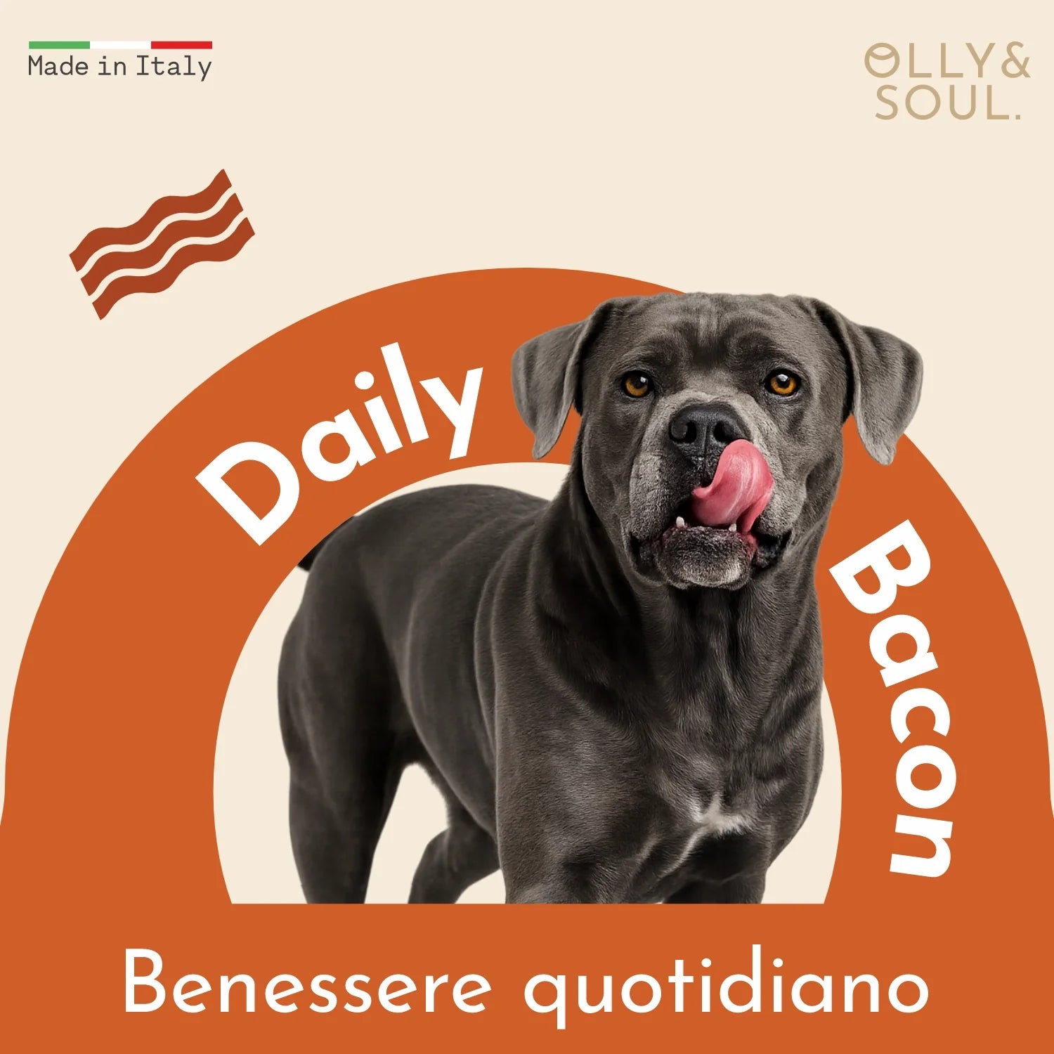 Olina Daily Bacon Cane