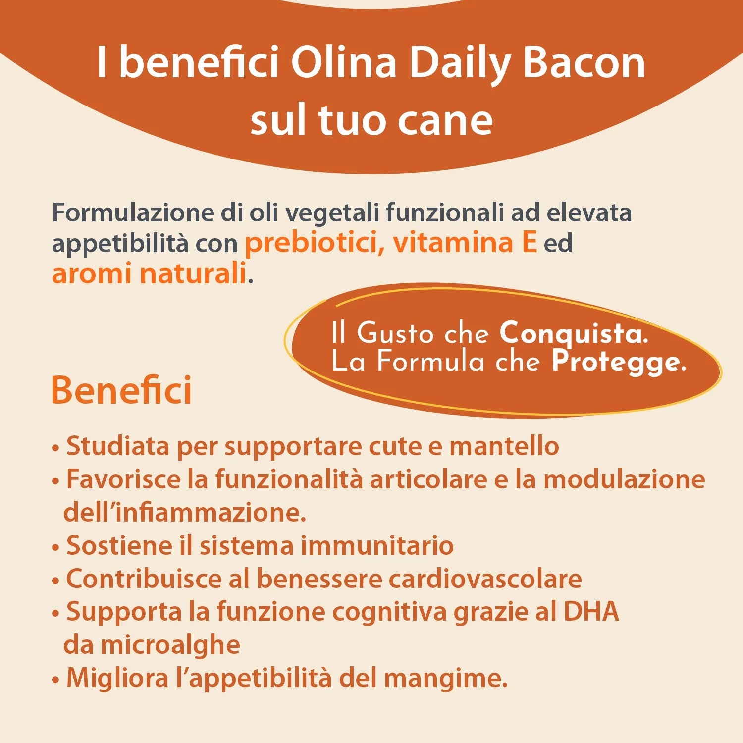 Olina Daily Bacon Cane