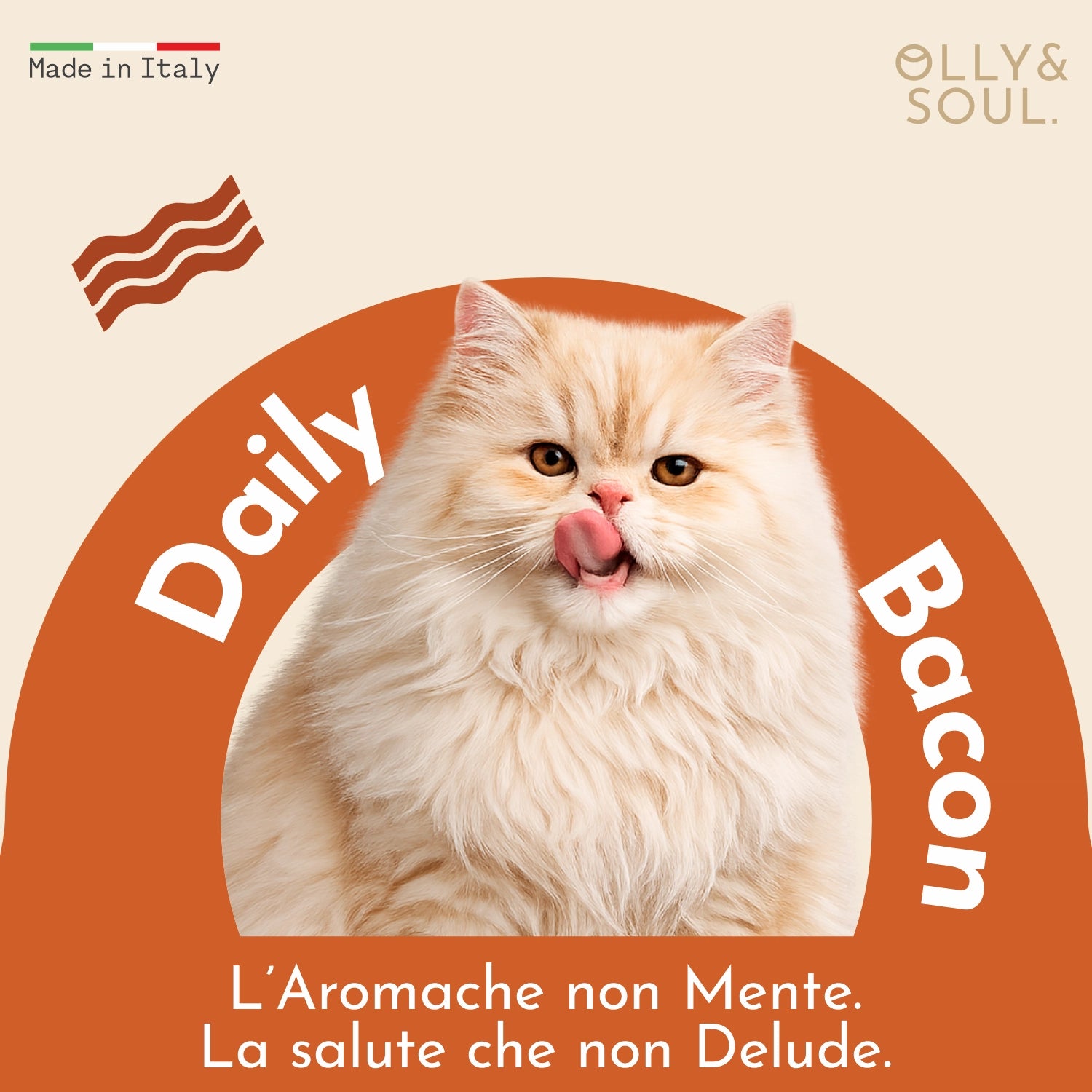 Olina Daily Bacon Gatto