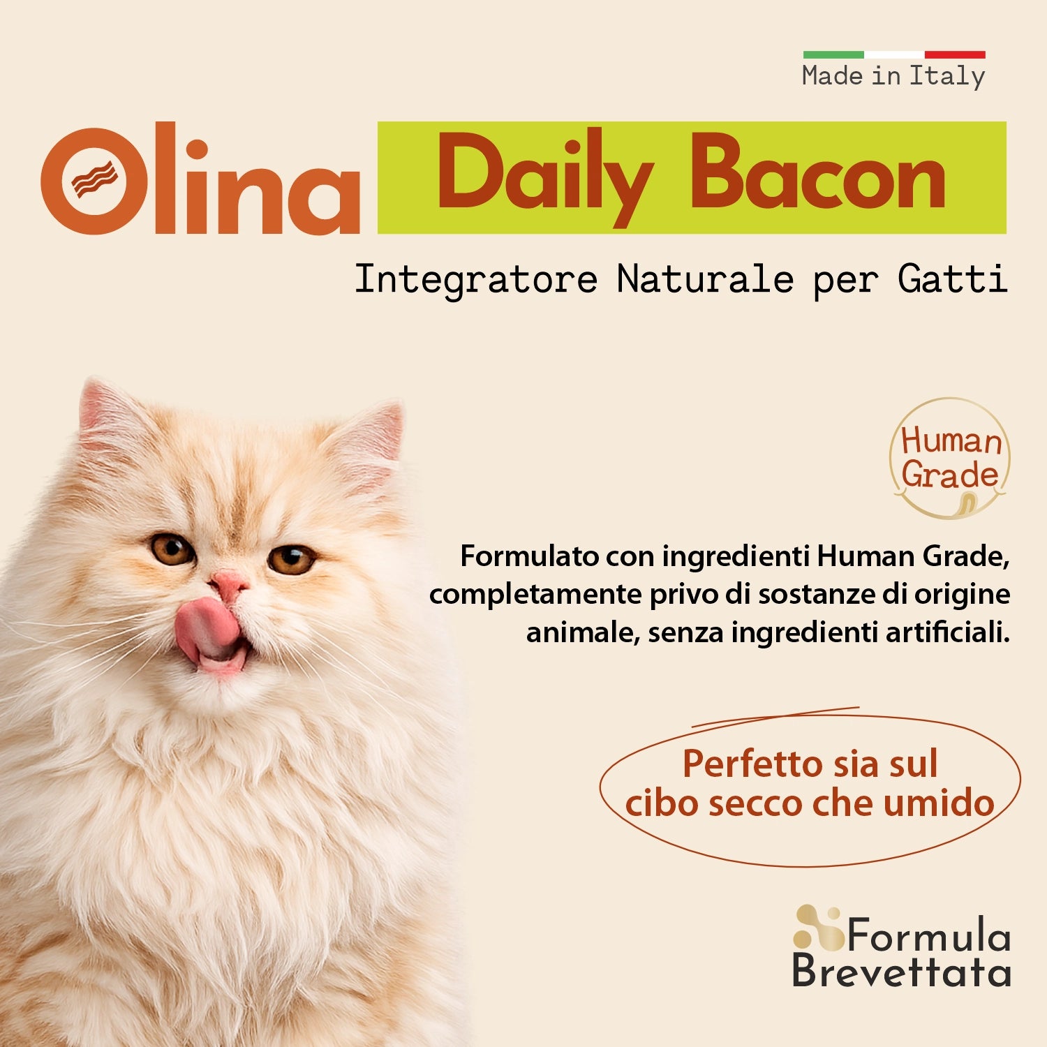 Olina Daily Bacon Gatto