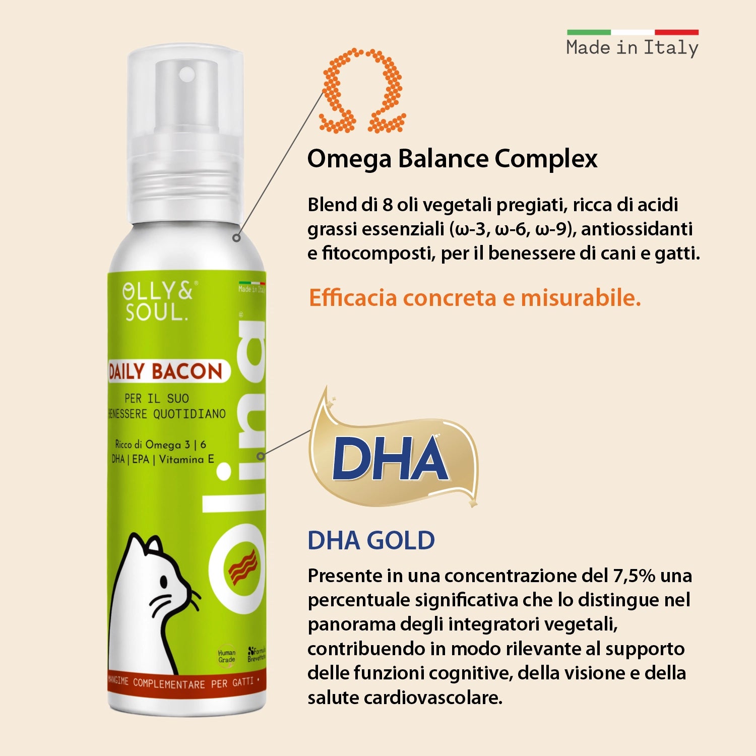 Olina Daily Bacon Gatto