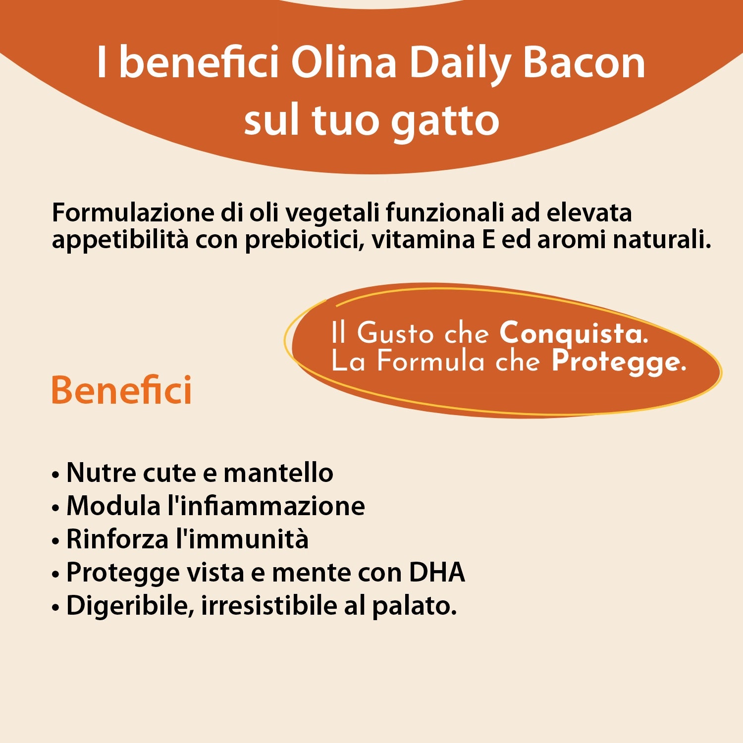 Olina Daily Bacon Gatto