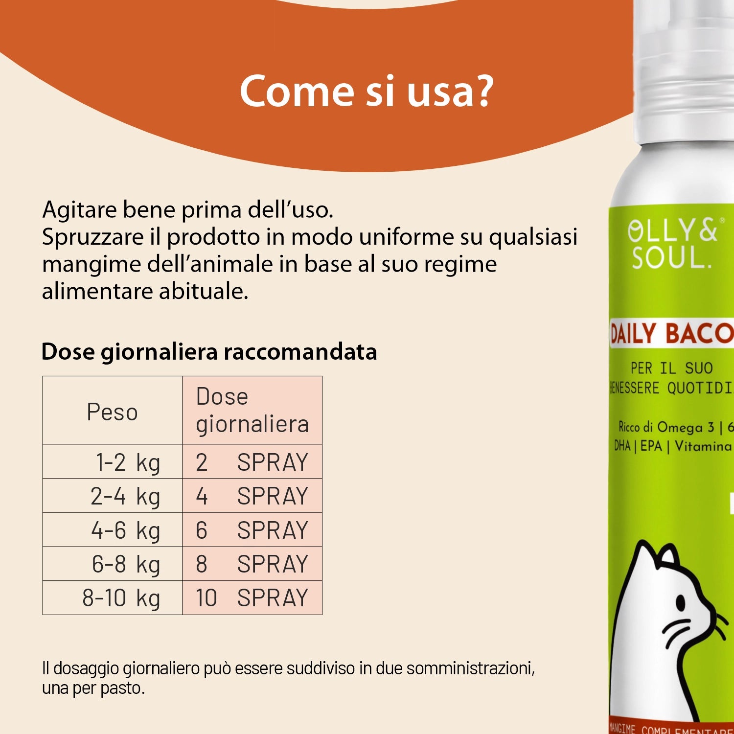 Olina Daily Bacon Gatto