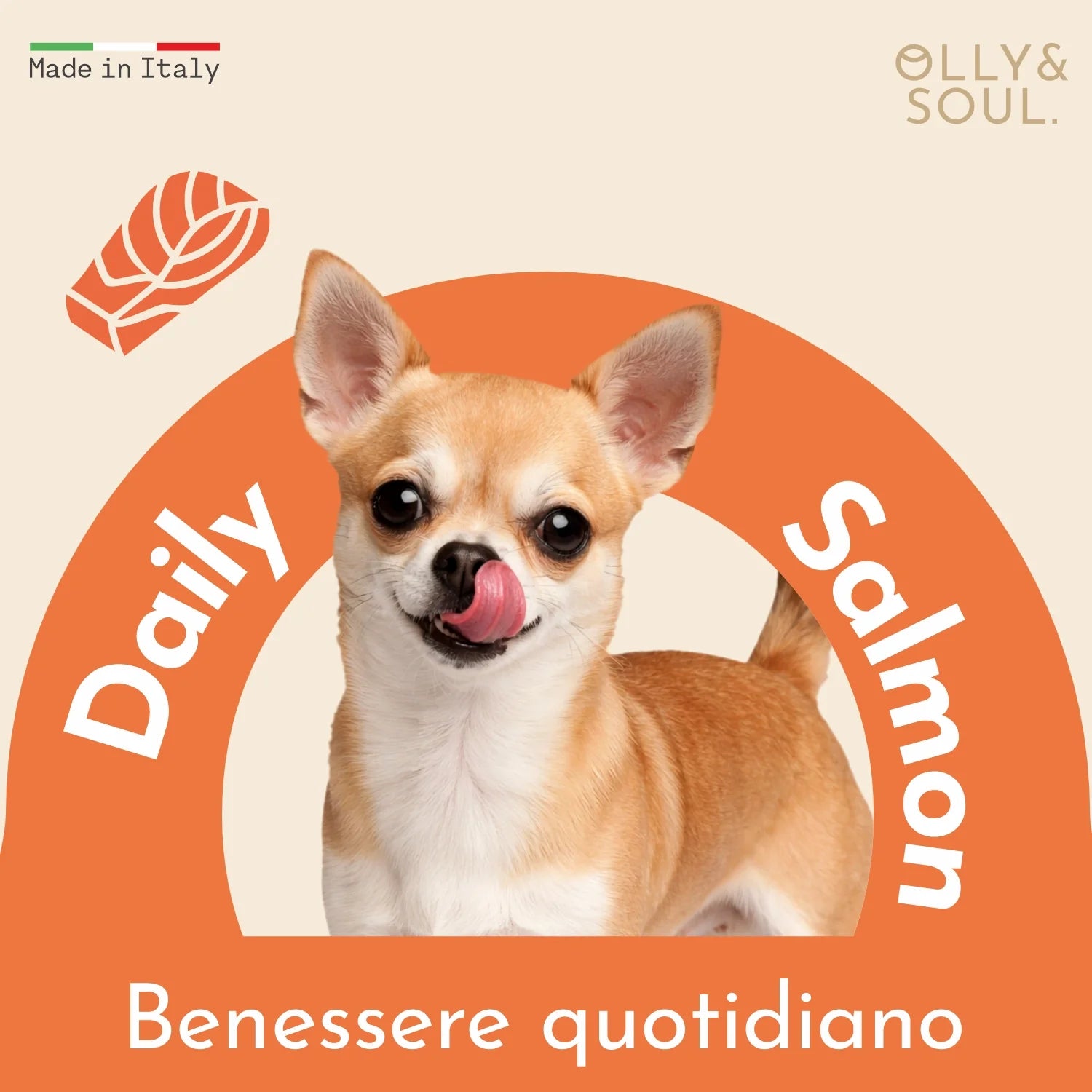 Olina Daily Salmon Cane