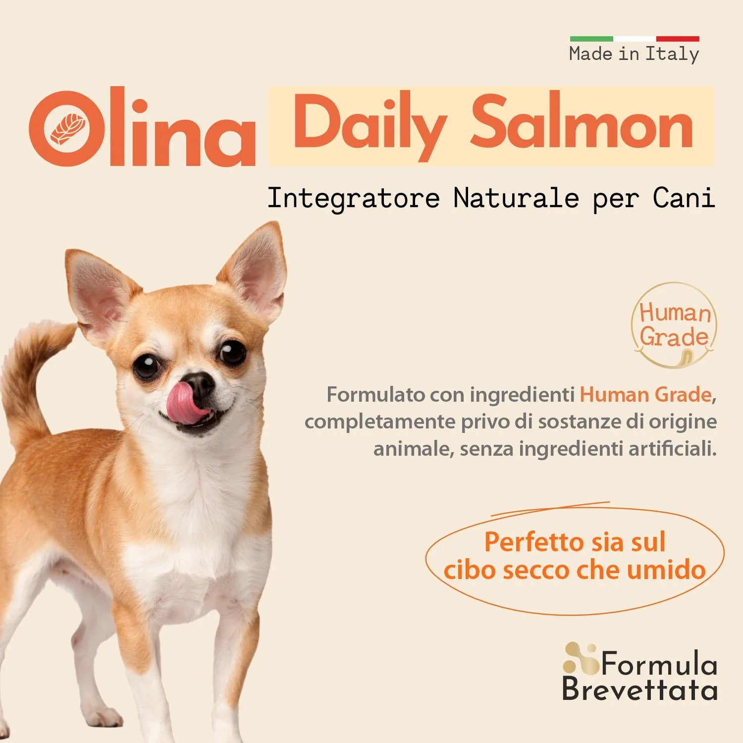 Olina Daily Salmon Cane