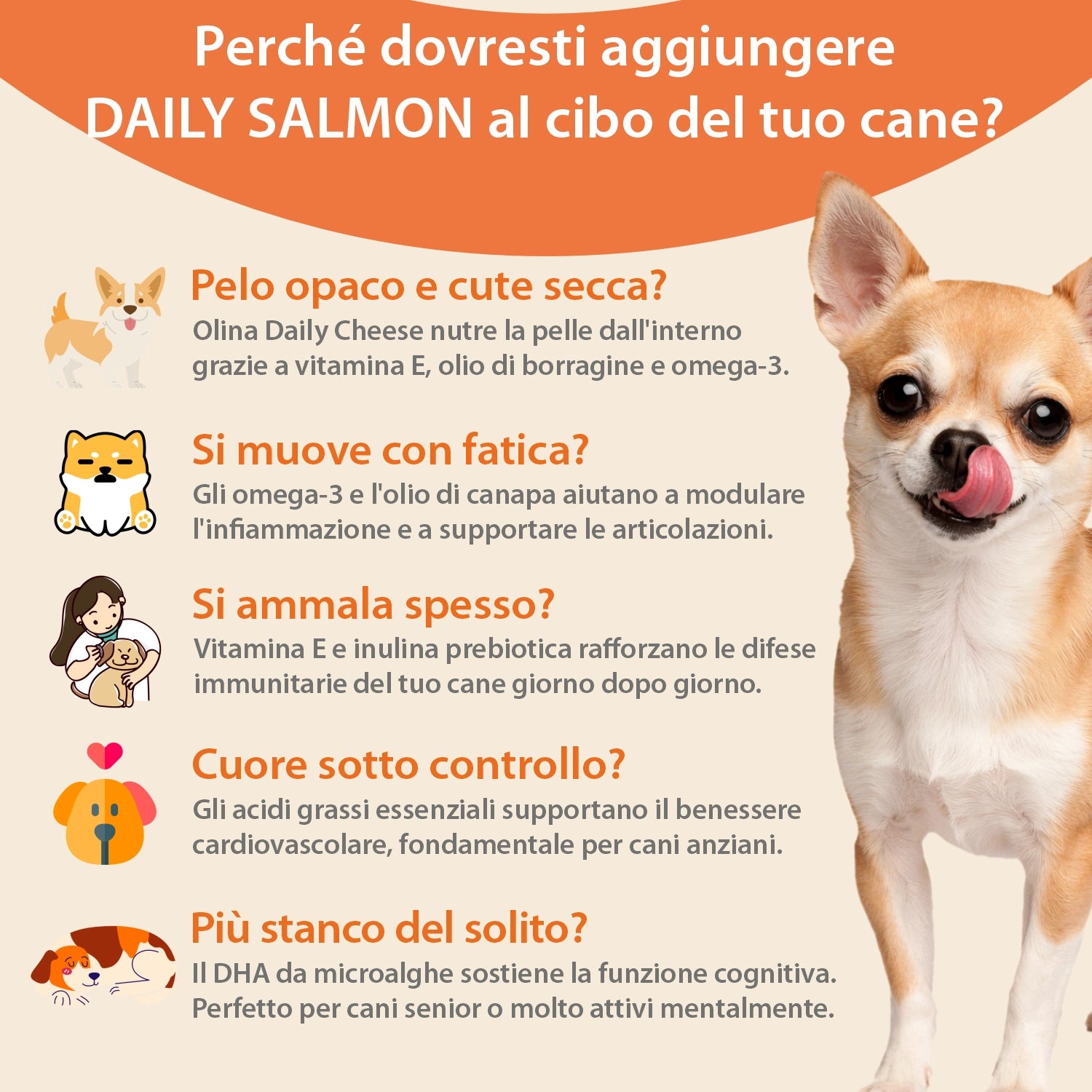 Olina Daily Cheese Cane