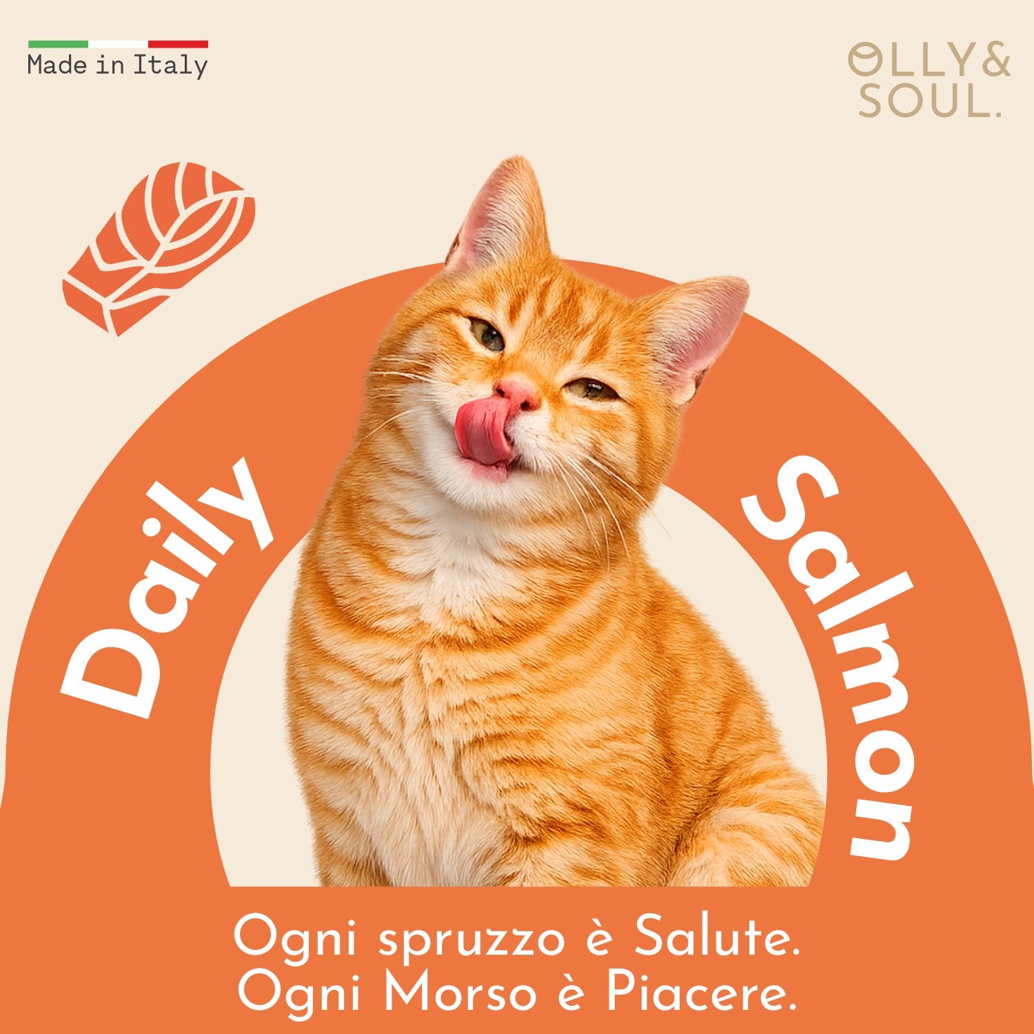 Olina Daily Salmon Gatto
