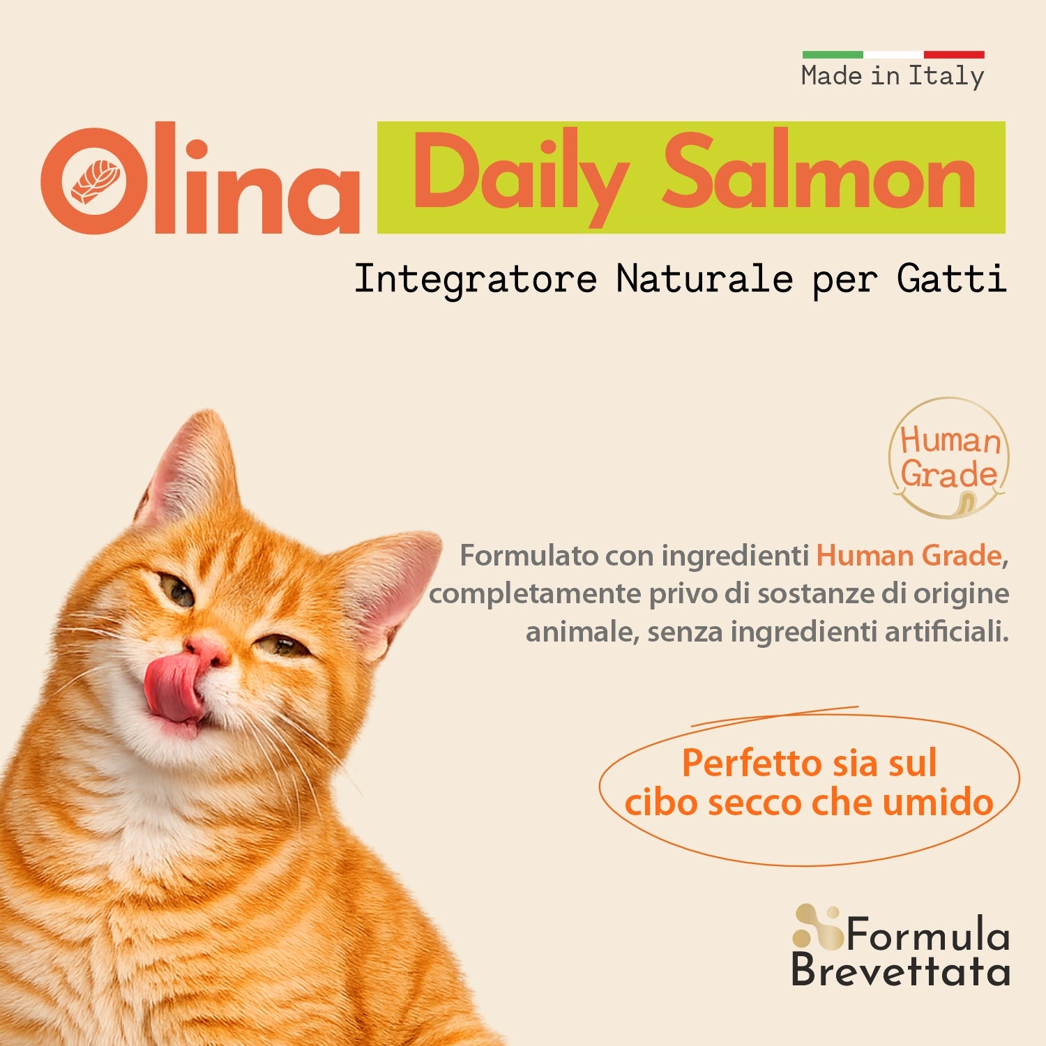 Olina Daily Salmon Gatto